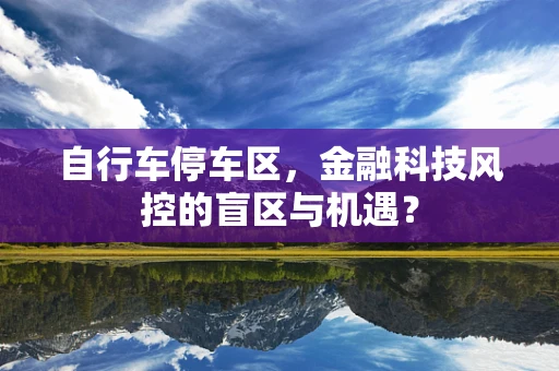 自行车停车区，金融科技风控的盲区与机遇？
