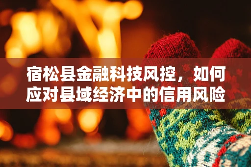 宿松县金融科技风控，如何应对县域经济中的信用风险挑战？