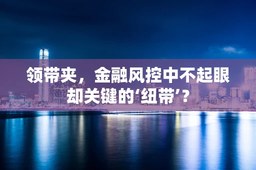 领带夹，金融风控中不起眼却关键的‘纽带’？