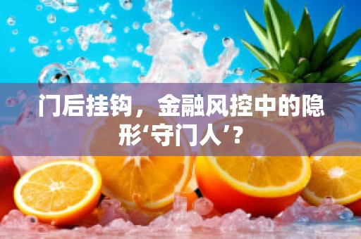 门后挂钩，金融风控中的隐形‘守门人’？