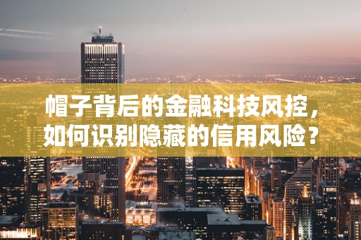 帽子背后的金融科技风控，如何识别隐藏的信用风险？