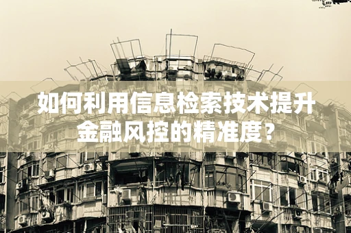 如何利用信息检索技术提升金融风控的精准度？