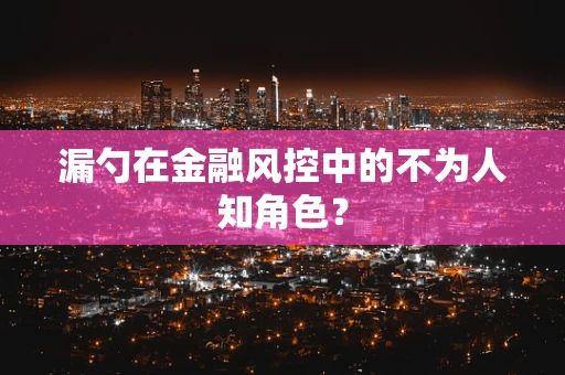 漏勺在金融风控中的不为人知角色？