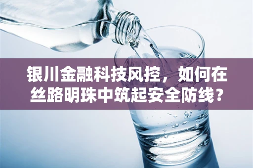银川金融科技风控，如何在丝路明珠中筑起安全防线？