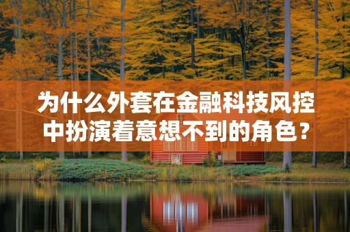 为什么外套在金融科技风控中扮演着意想不到的角色？