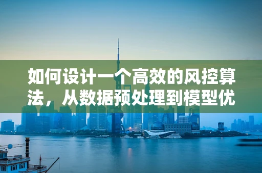 如何设计一个高效的风控算法，从数据预处理到模型优化的全流程