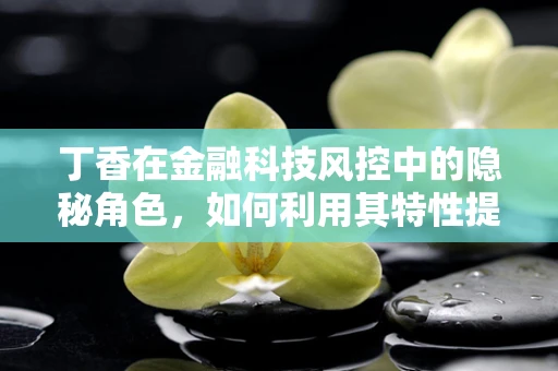 丁香在金融科技风控中的隐秘角色，如何利用其特性提升风险评估？