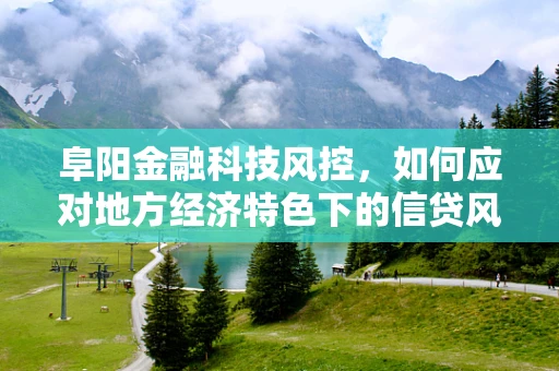 阜阳金融科技风控，如何应对地方经济特色下的信贷风险？