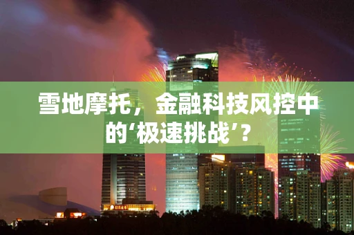 雪地摩托，金融科技风控中的‘极速挑战’？