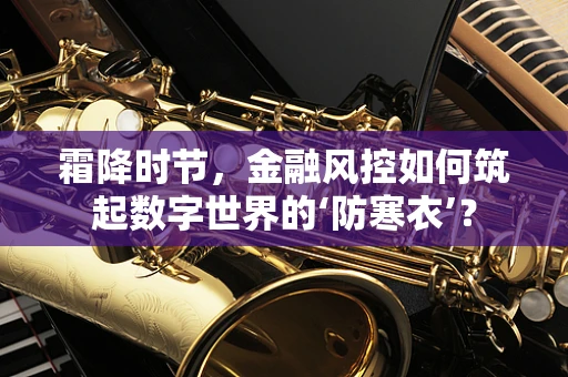 霜降时节，金融风控如何筑起数字世界的‘防寒衣’？