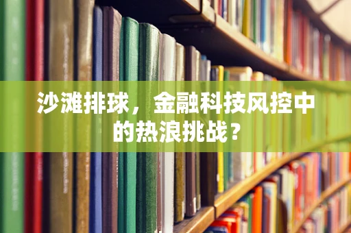 沙滩排球，金融科技风控中的热浪挑战？