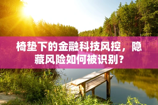 椅垫下的金融科技风控，隐藏风险如何被识别？
