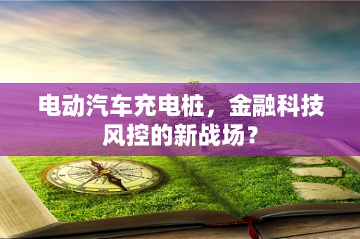 电动汽车充电桩，金融科技风控的新战场？