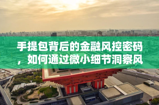 手提包背后的金融风控密码，如何通过微小细节洞察风险？