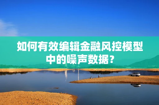 如何有效编辑金融风控模型中的噪声数据？
