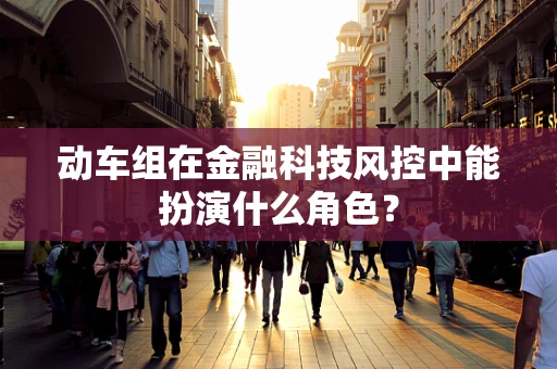 动车组在金融科技风控中能扮演什么角色？