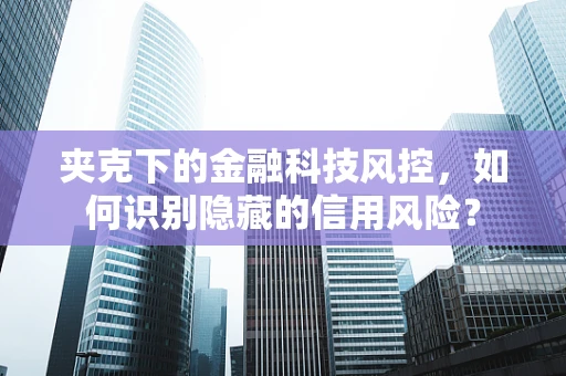 夹克下的金融科技风控，如何识别隐藏的信用风险？