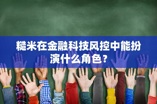 糙米在金融科技风控中能扮演什么角色？