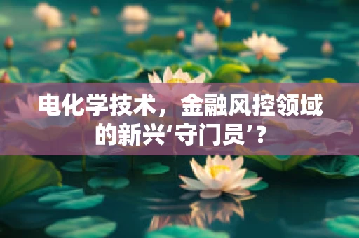 电化学技术，金融风控领域的新兴‘守门员’？