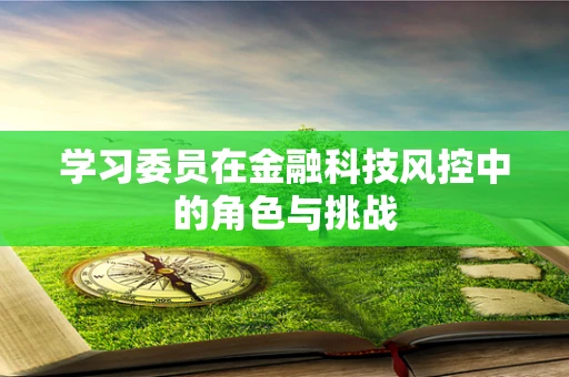 学习委员在金融科技风控中的角色与挑战