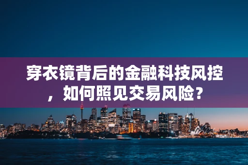 穿衣镜背后的金融科技风控，如何照见交易风险？