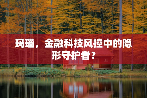 玛瑙，金融科技风控中的隐形守护者？