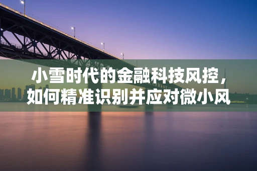 小雪时代的金融科技风控，如何精准识别并应对微小风险？