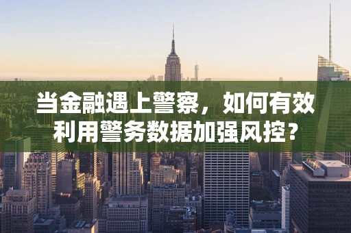 当金融遇上警察，如何有效利用警务数据加强风控？