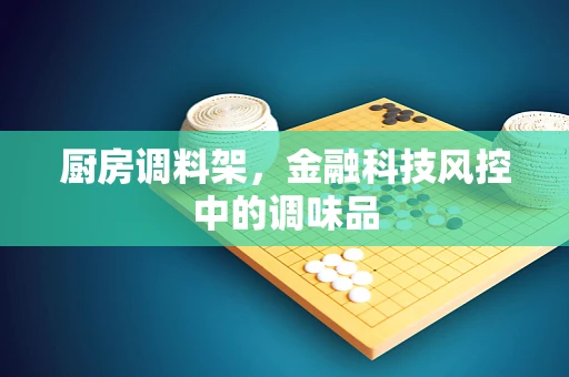 厨房调料架，金融科技风控中的调味品