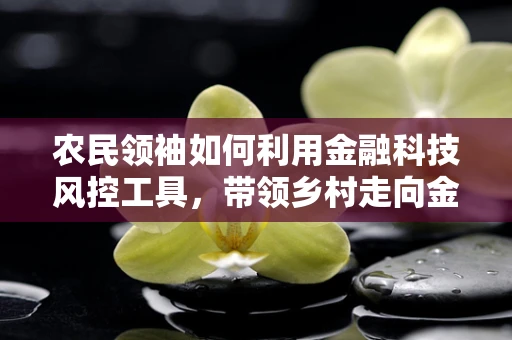 农民领袖如何利用金融科技风控工具，带领乡村走向金融普惠？