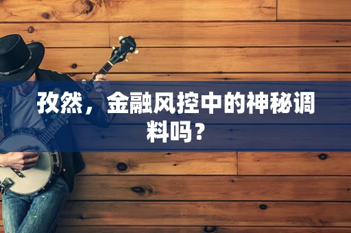 孜然，金融风控中的神秘调料吗？