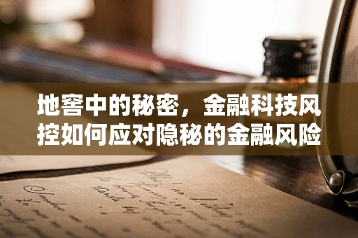 地窖中的秘密，金融科技风控如何应对隐秘的金融风险？