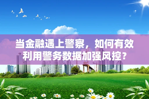 当金融遇上警察，如何有效利用警务数据加强风控？
