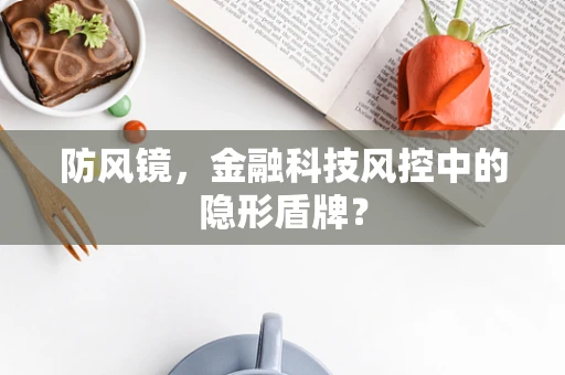 防风镜，金融科技风控中的隐形盾牌？