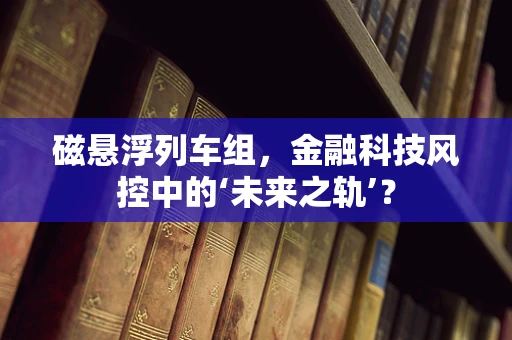 磁悬浮列车组，金融科技风控中的‘未来之轨’？