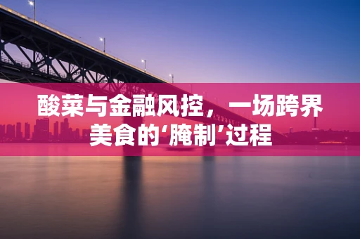 酸菜与金融风控，一场跨界美食的‘腌制’过程