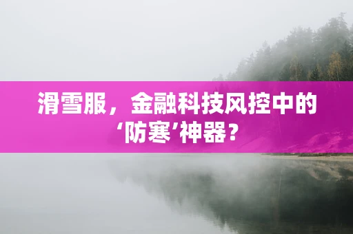滑雪服，金融科技风控中的‘防寒’神器？