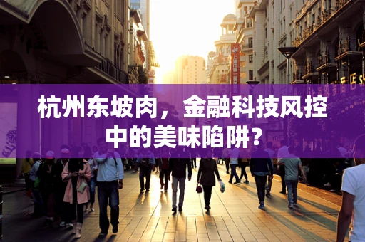 杭州东坡肉，金融科技风控中的美味陷阱？