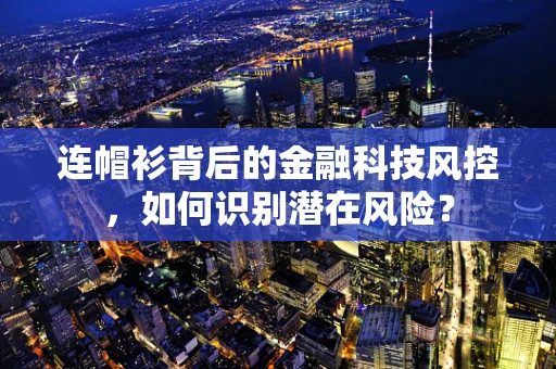 连帽衫背后的金融科技风控，如何识别潜在风险？