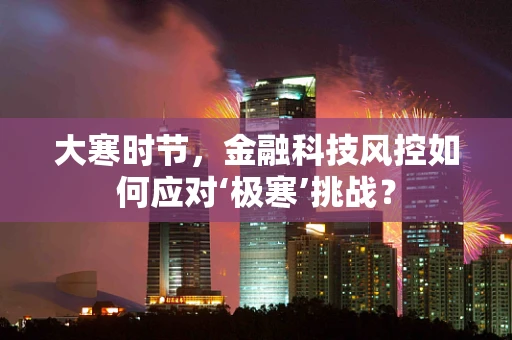 大寒时节，金融科技风控如何应对‘极寒’挑战？