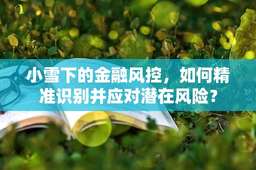 小雪下的金融风控，如何精准识别并应对潜在风险？