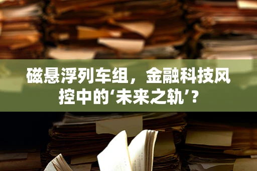 磁悬浮列车组，金融科技风控中的‘未来之轨’？