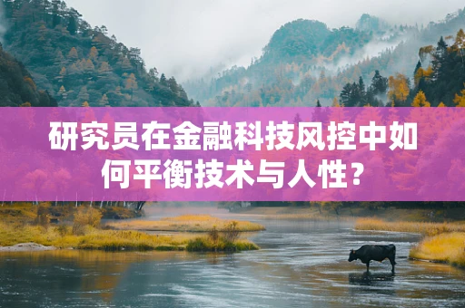 研究员在金融科技风控中如何平衡技术与人性？
