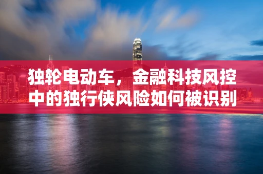 独轮电动车，金融科技风控中的独行侠风险如何被识别与控制？
