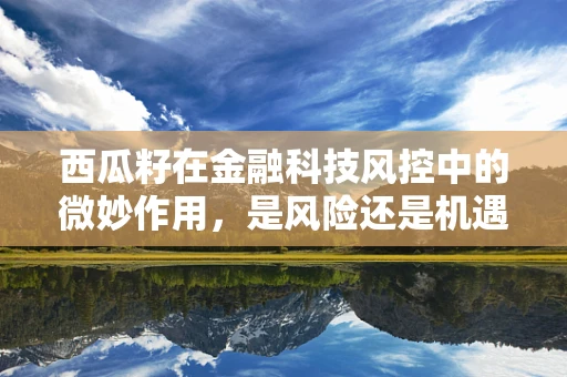 西瓜籽在金融科技风控中的微妙作用，是风险还是机遇的种子？