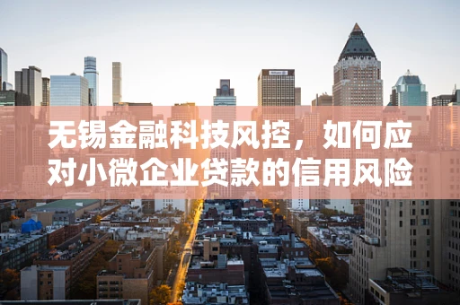 无锡金融科技风控，如何应对小微企业贷款的信用风险挑战？