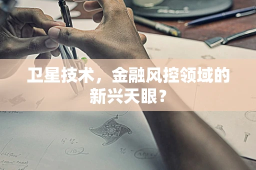 卫星技术，金融风控领域的新兴天眼？