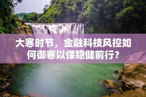 大寒时节，金融科技风控如何御寒以保稳健前行？