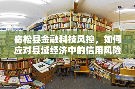 宿松县金融科技风控，如何应对县域经济中的信用风险？