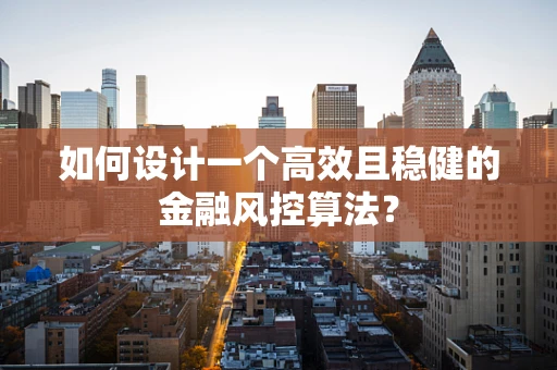 如何设计一个高效且稳健的金融风控算法？